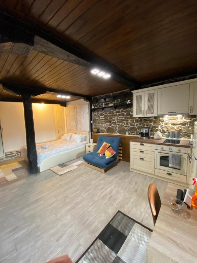 Studio Spring Villa Veliko Tarnovo Eksteriør billede